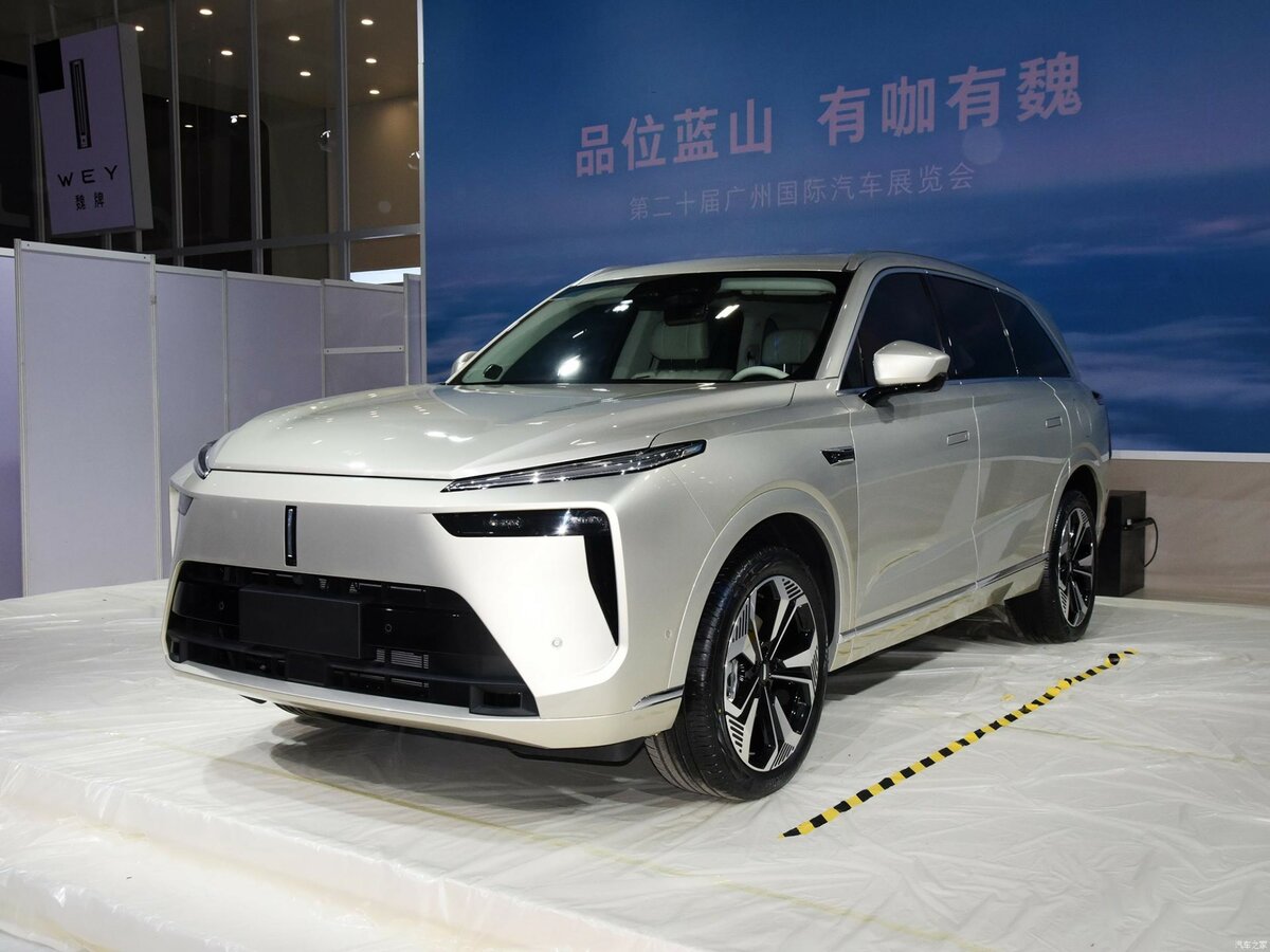 Wey Lanshan (Blue Mountain) 2023 – н.в.