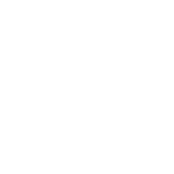Baojun