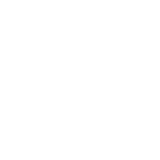 Foton