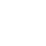 Leapmotor