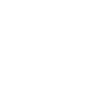 Lucid