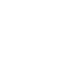 Rover