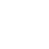 Scion