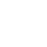 Tazzari