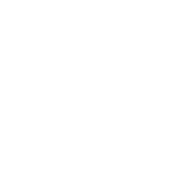 Vector
