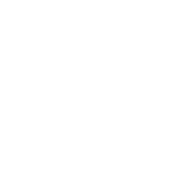 VinFast