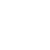 VinFast