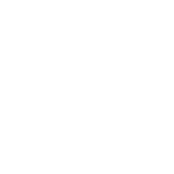 Vortex