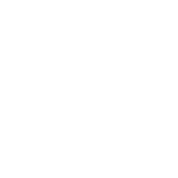 W Motors