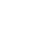 W Motors