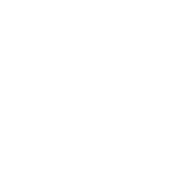 Zotye